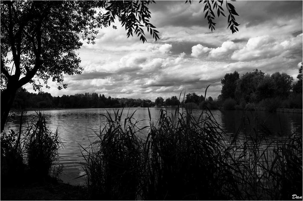 Etang en forêt  de Rambouillet