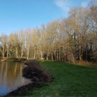 ..Etang en partie gelé à Yèvres (45)