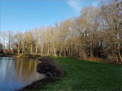 ..Etang en partie gelé à Yèvres (45)