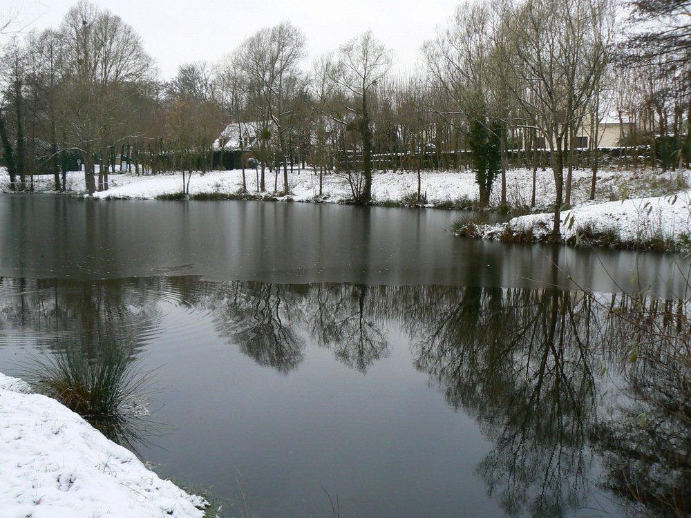 Etang Gelé à demi .