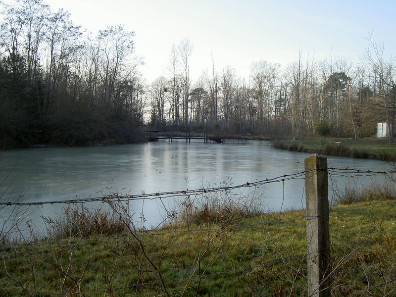 Etang glacé.