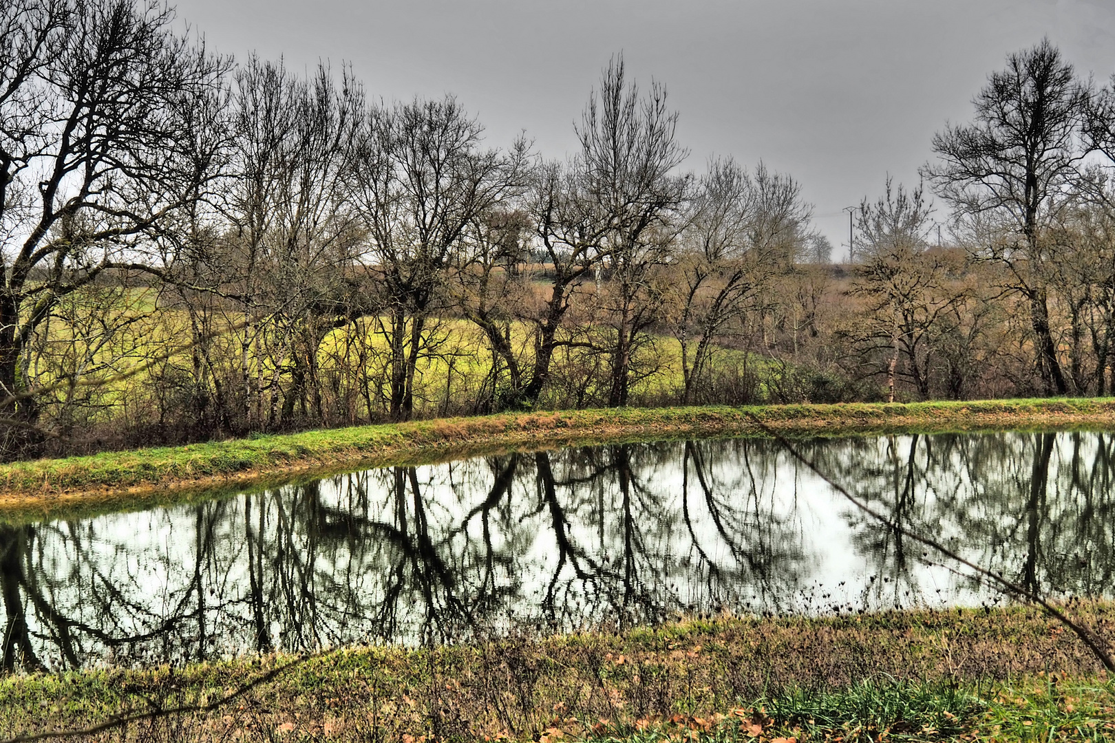 Etang hivernal