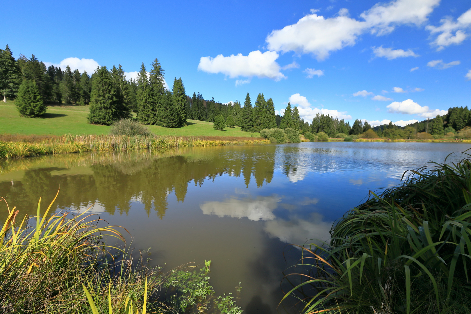 Etang Plain de Saigne, Suisse