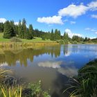 Etang Plain de Saigne, Suisse