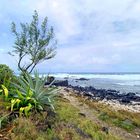 Etang Salé, La Réunion