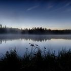 Etang, Sommer 2018