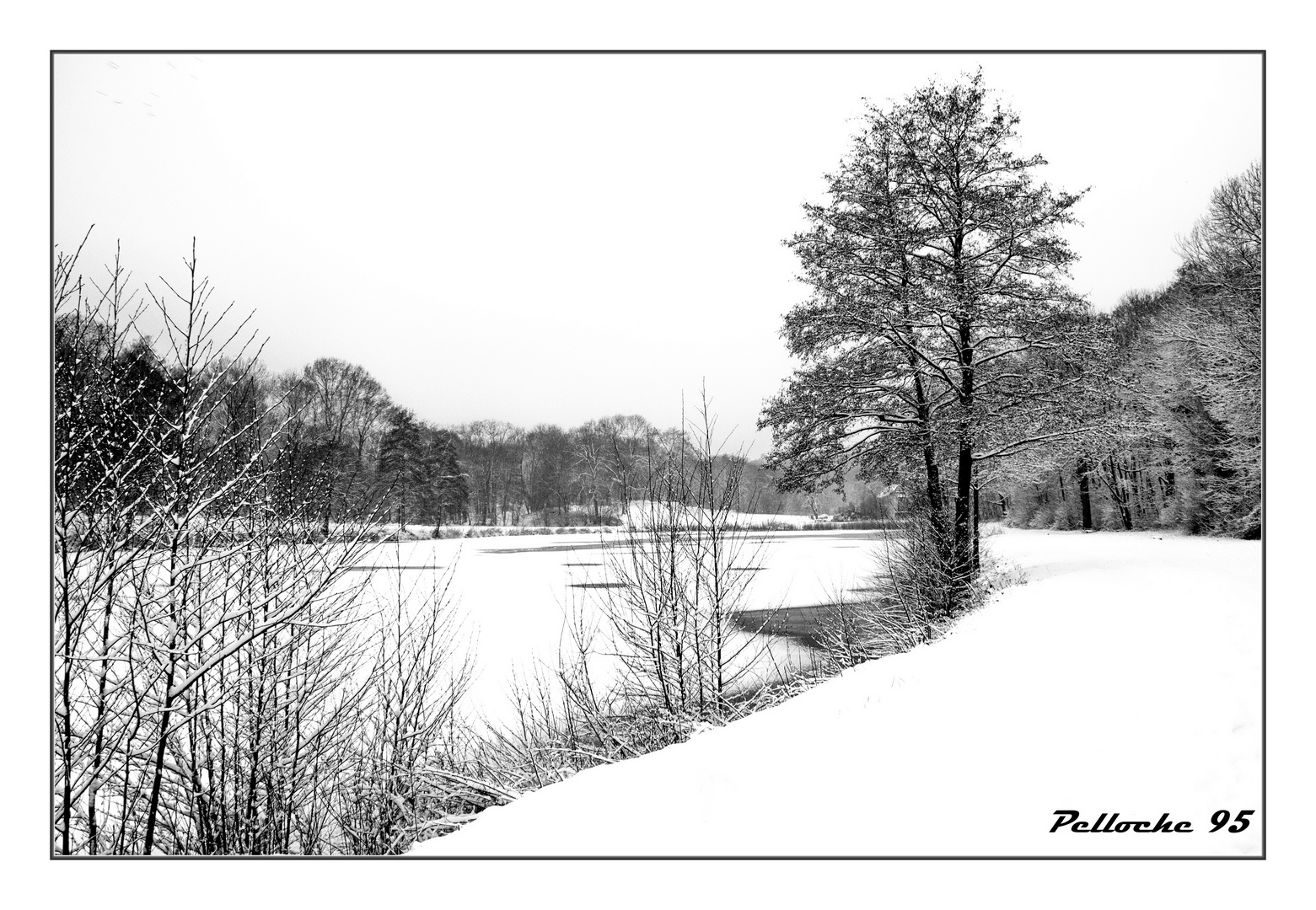 Etang sous la neige