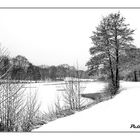 Etang sous la neige