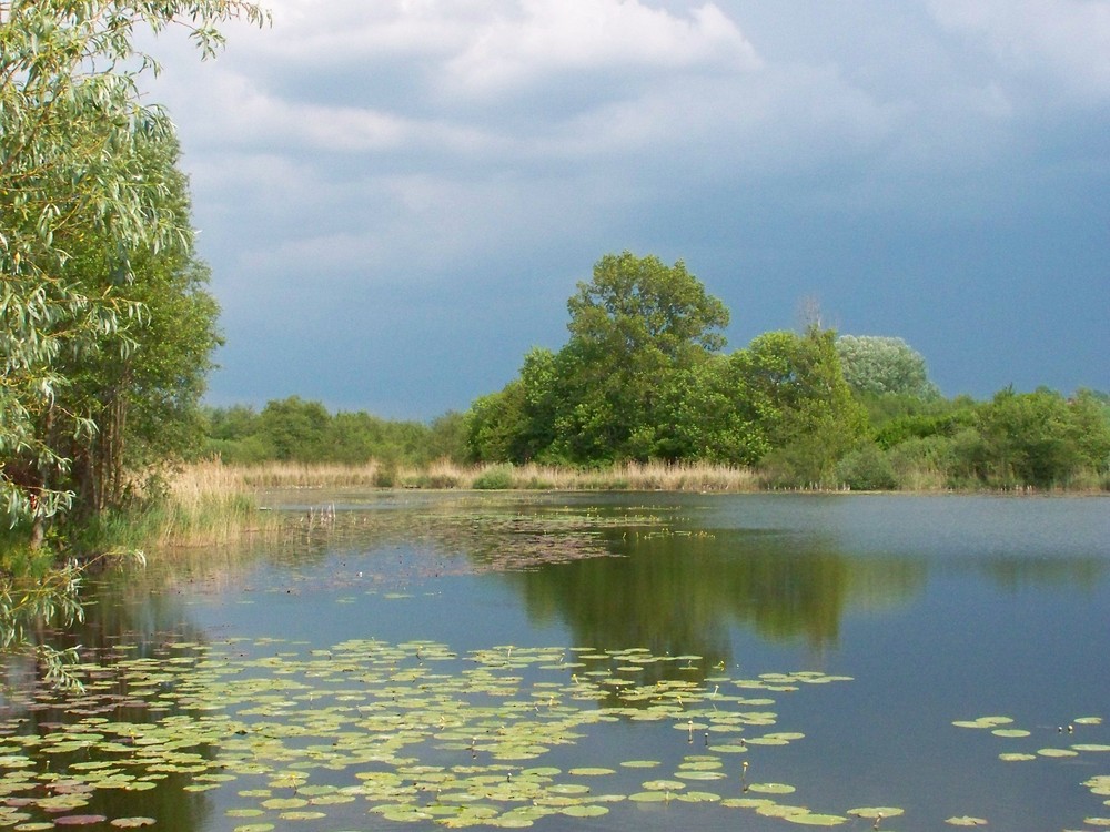 Etang sous un ciel orageux