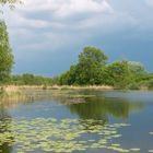 Etang sous un ciel orageux