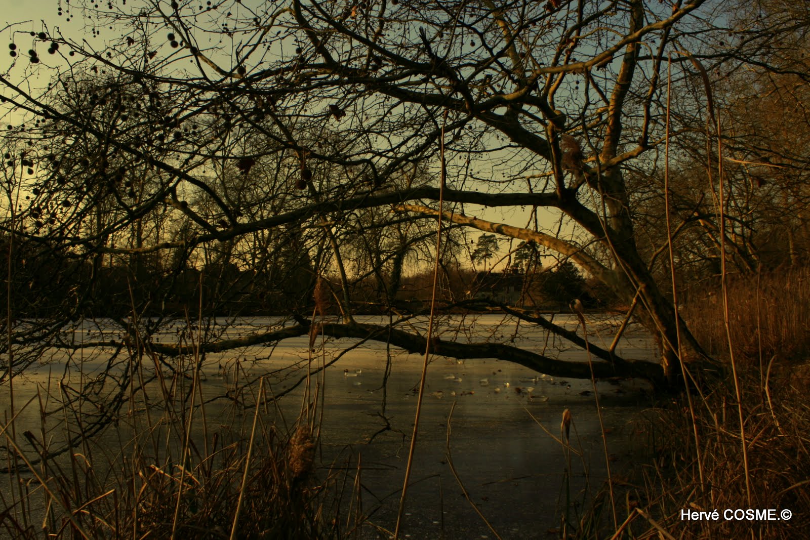 Etang Ste Perine....