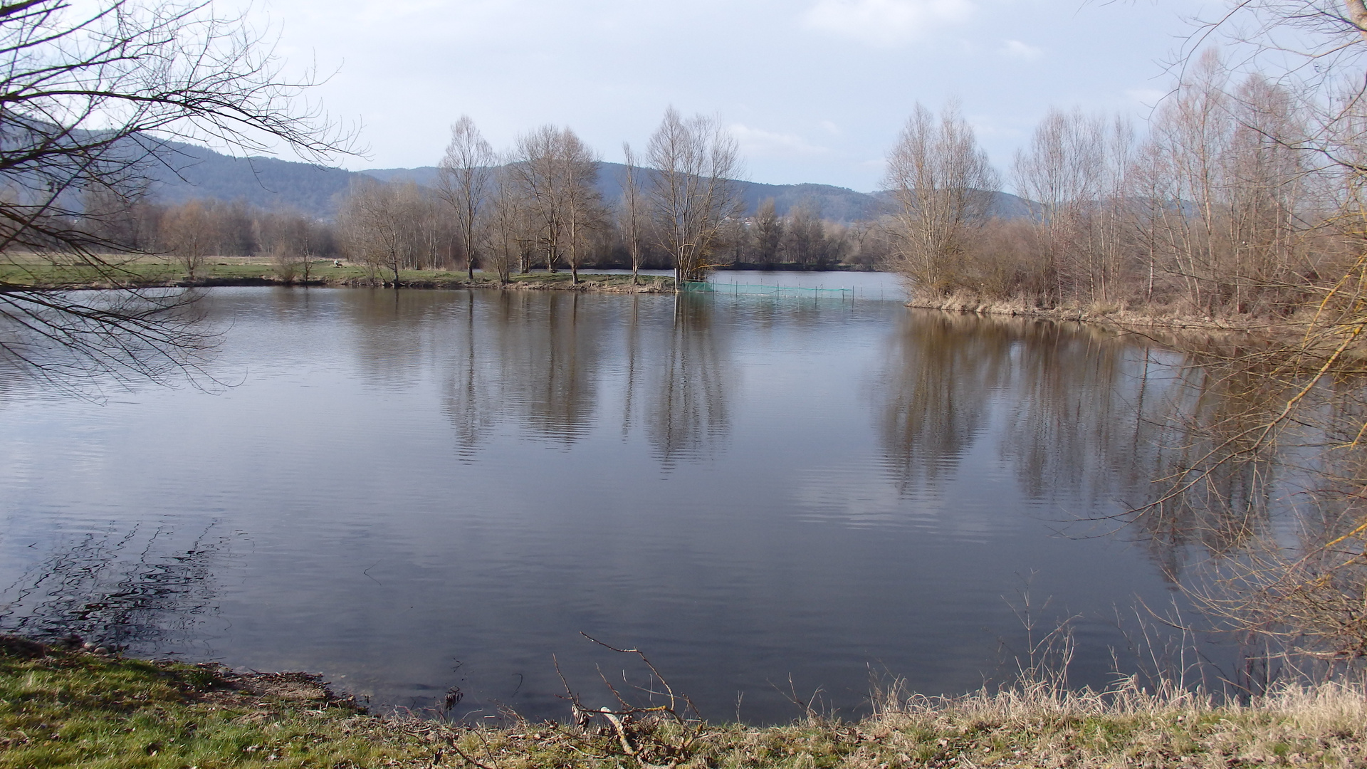 etangs bas en basset