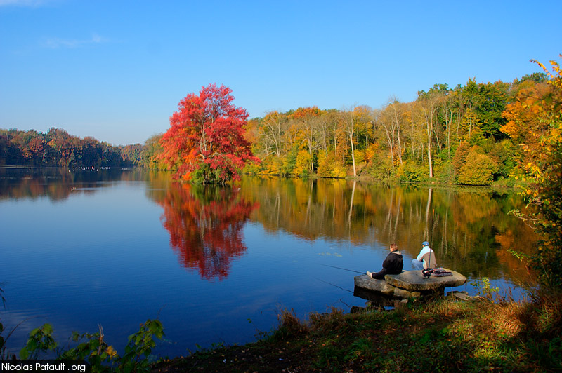 Etangs de Commelles