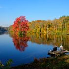 Etangs de Commelles