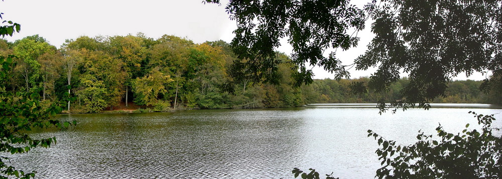 Etangs de Commelles