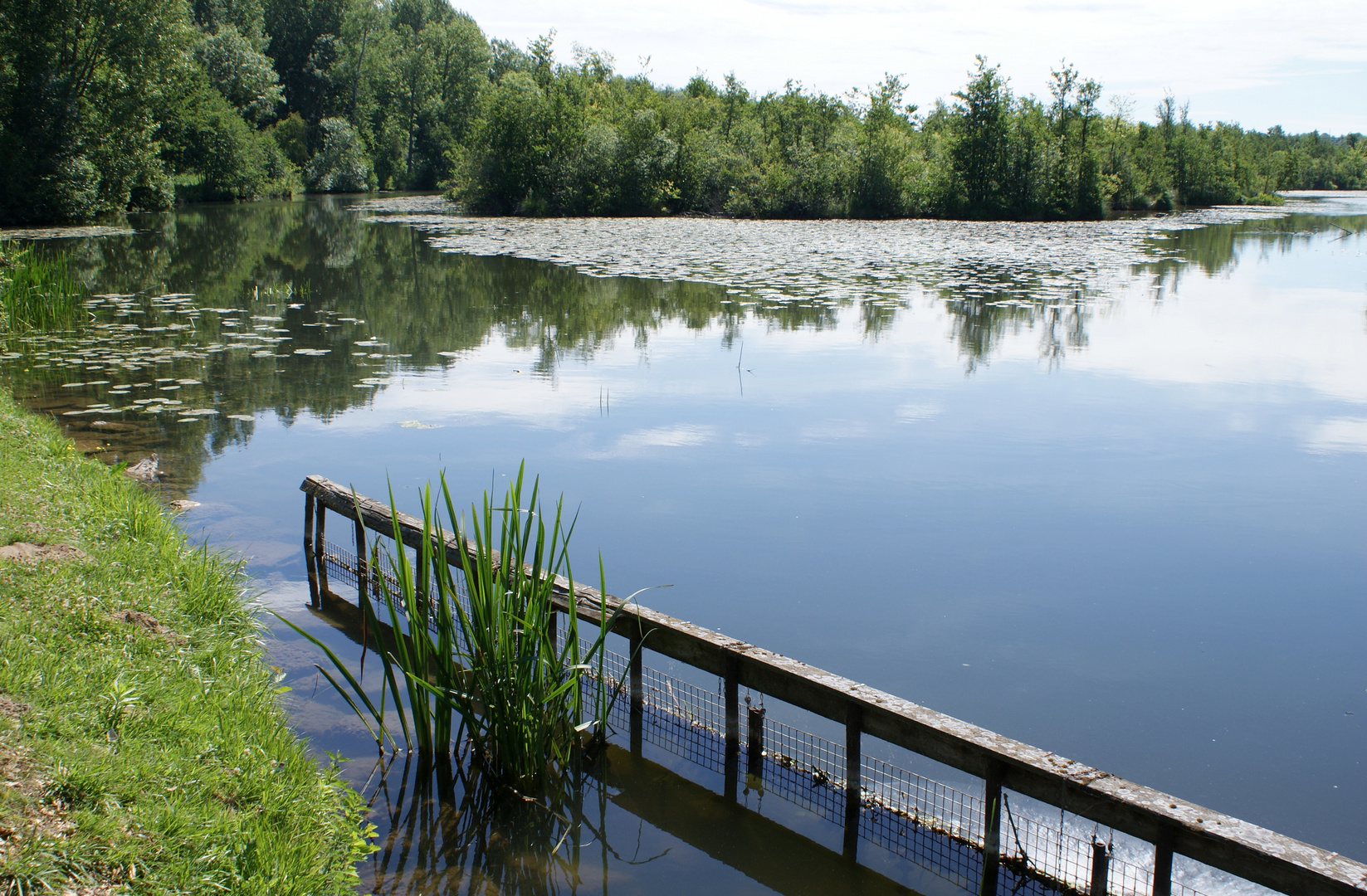 Etangs de la Somme.