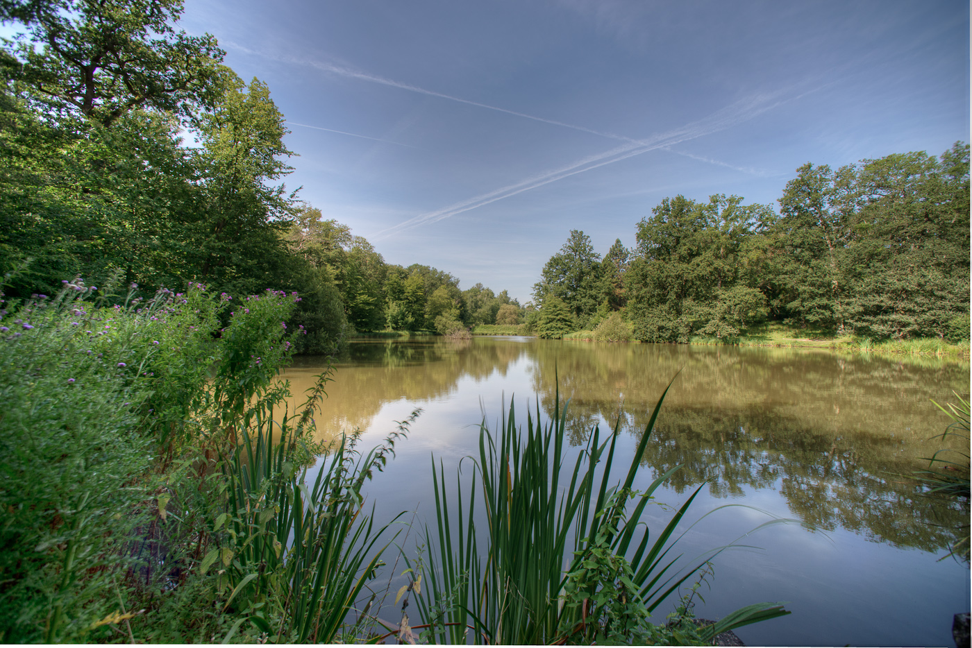 Etangs de Saint Marc