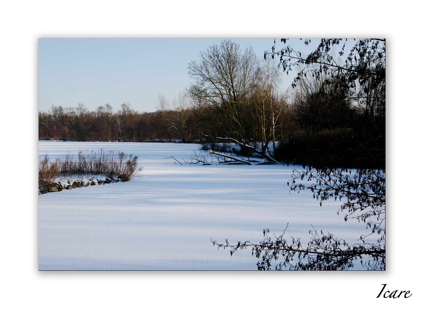 Etangs et doigts gelés 1