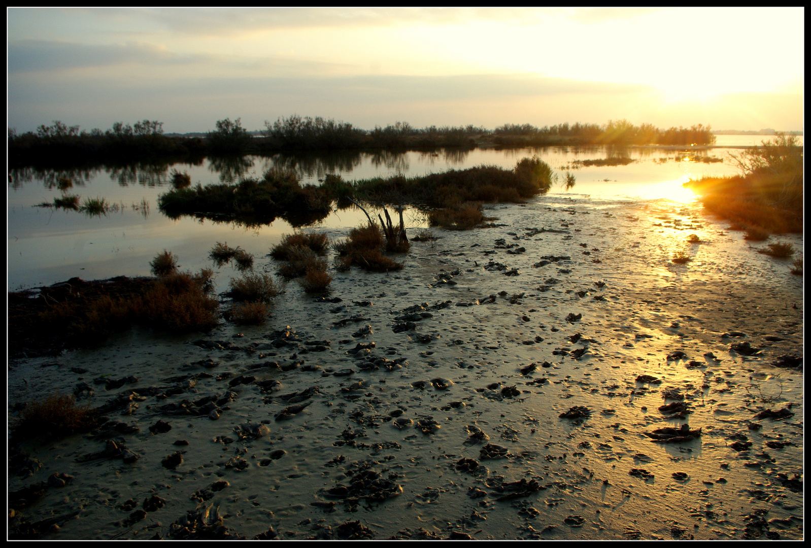 etangs , le soir