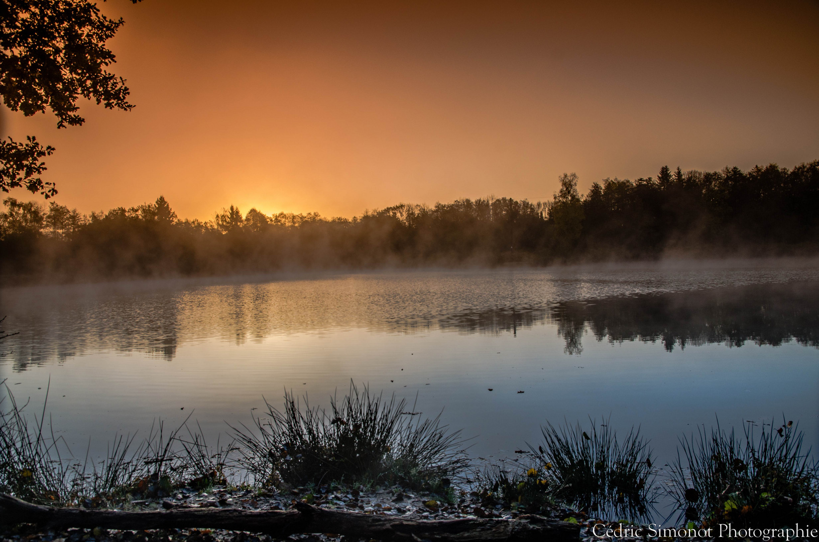 étangs un matin