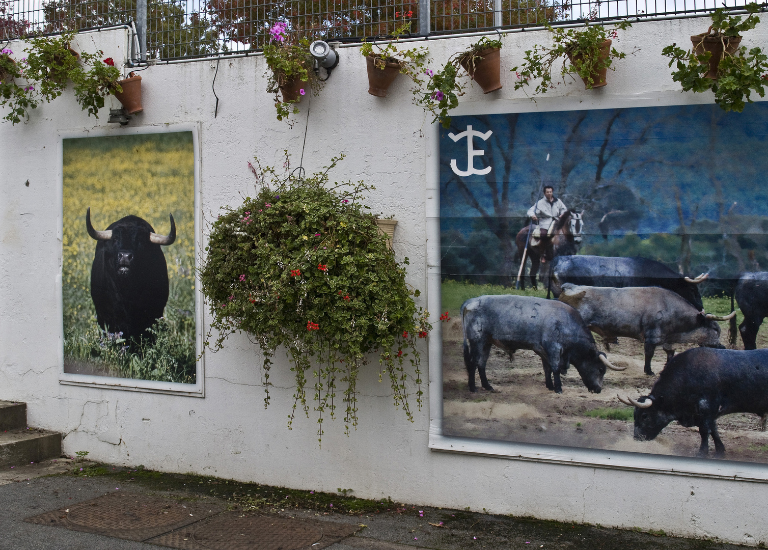 Etape dacquoise 5 - Photos sur un des murs de l’enceinte des Arènes