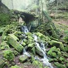 Etappe 2 - Bärengarten im Schindergraben bei Hohnstein