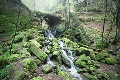 Etappe 2 - Bärengarten im Schindergraben bei Hohnstein