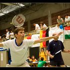 ETDG 2008 - Badminton