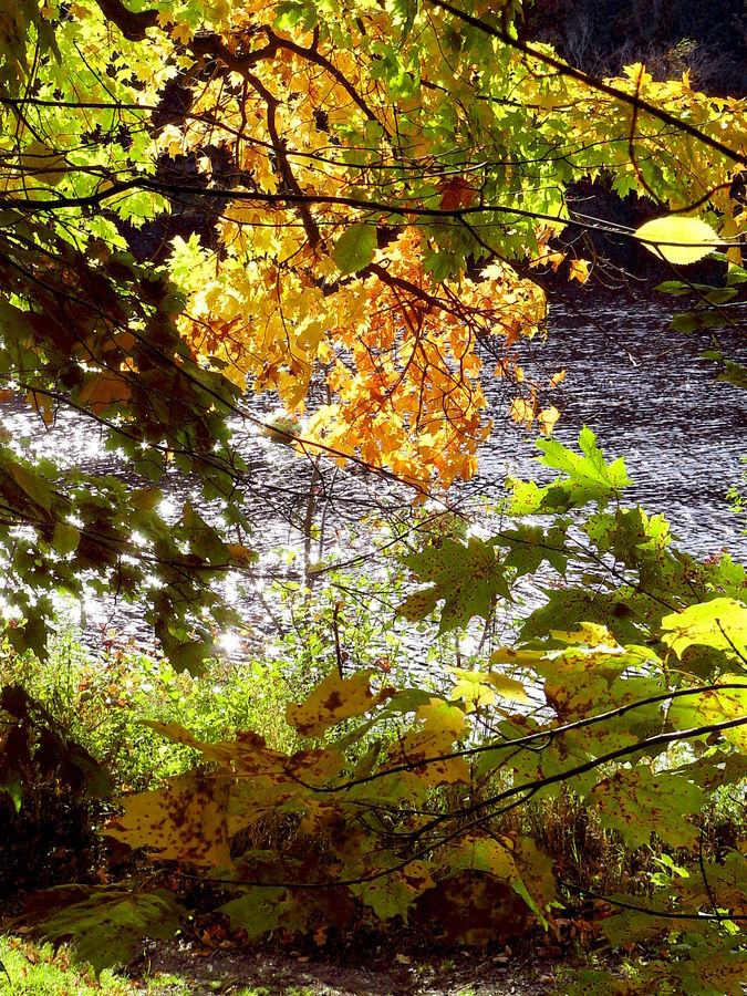 été indien à Montmorency