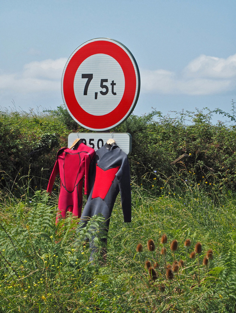 Etendoir à linge…pour poids légers uniquement