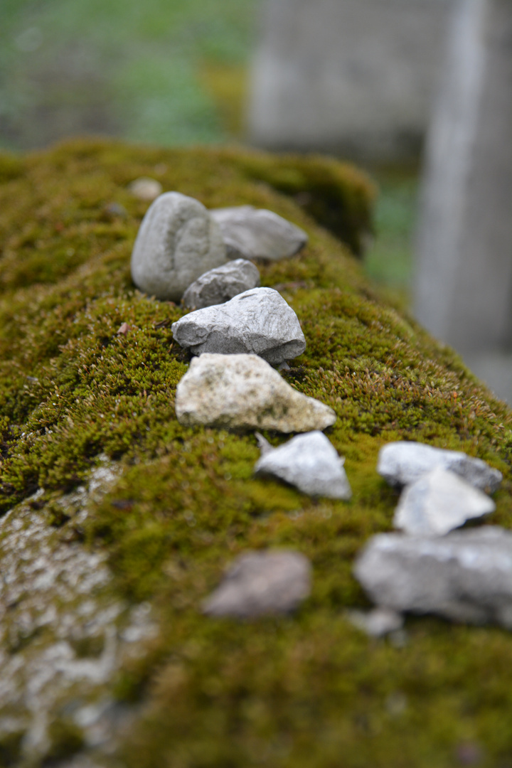 Eternal rest (in Cracow)