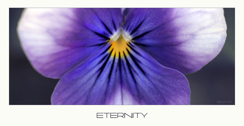 - eternity -