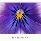 - eternity -