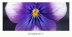 - eternity -