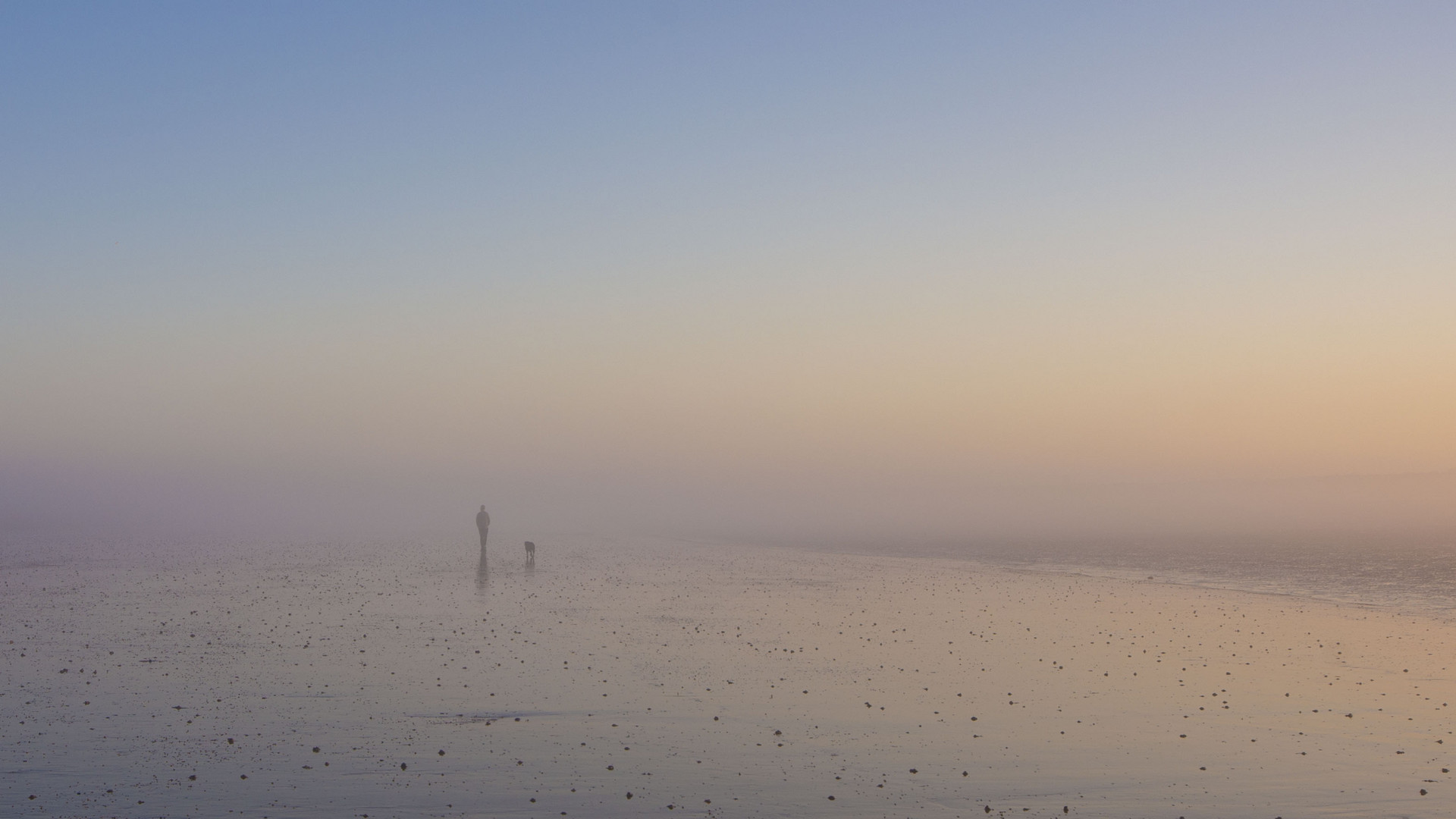 Ethereal Dog Walking