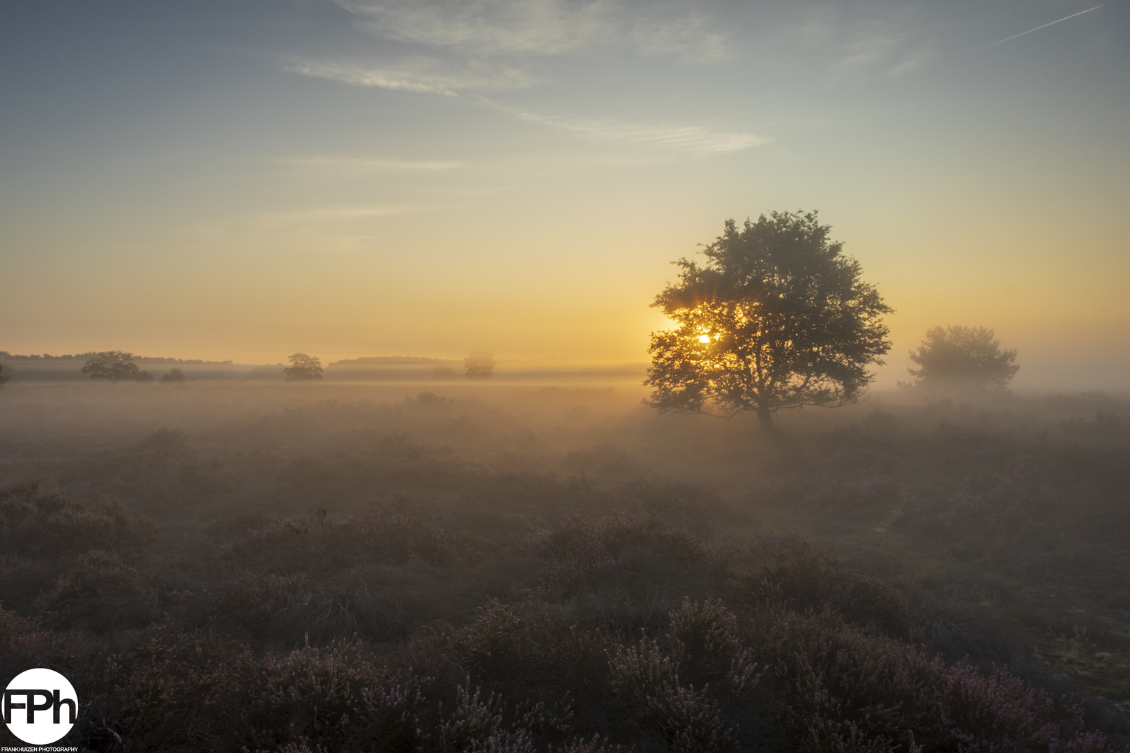 Ethereal sunrise over foggy fields