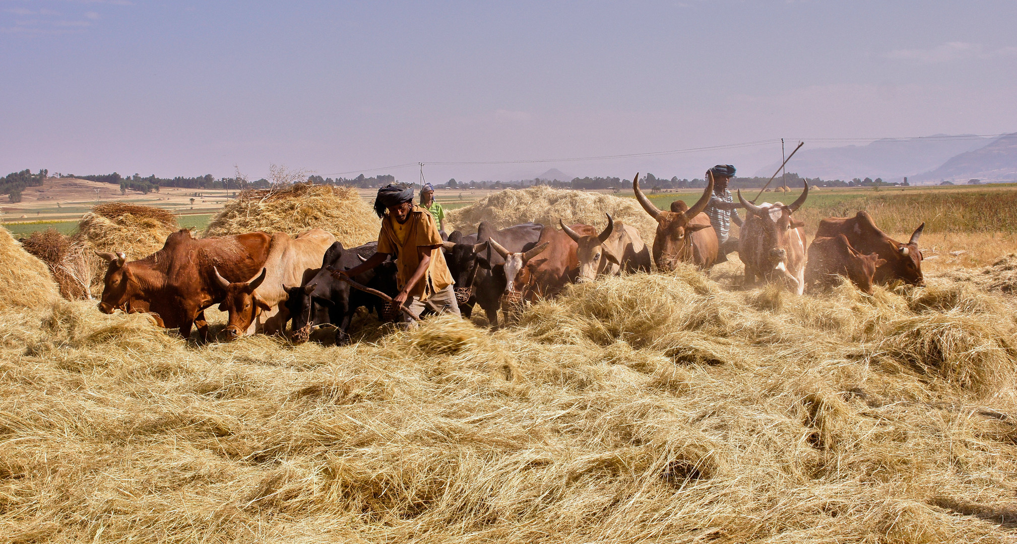 Ethiopia 2