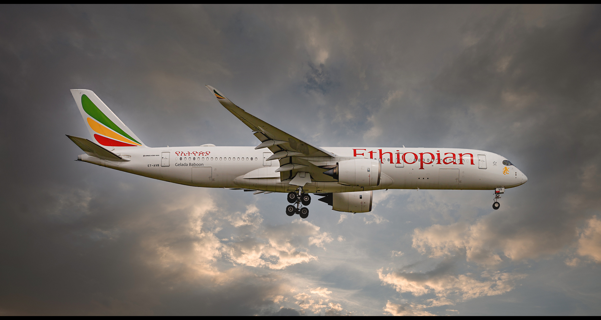 Ethiopian Airlines, Airbus A350-900