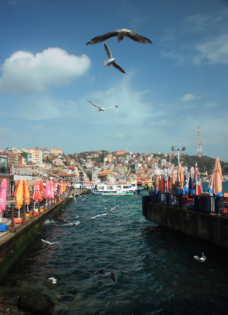 Etienne GABOREAU   Istanbul, Turquie