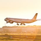 Etihad A340-600 A6-EHK