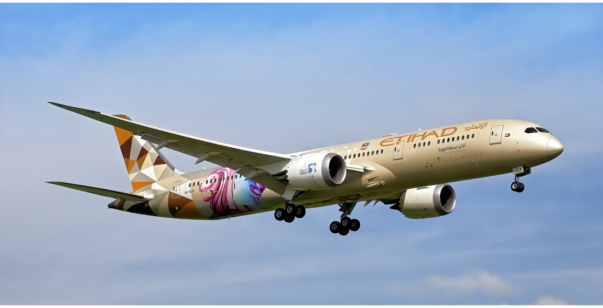 Etihad Airways A6 - BLR