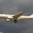 Etihad Airways Airbus A330-243 A6-EYF