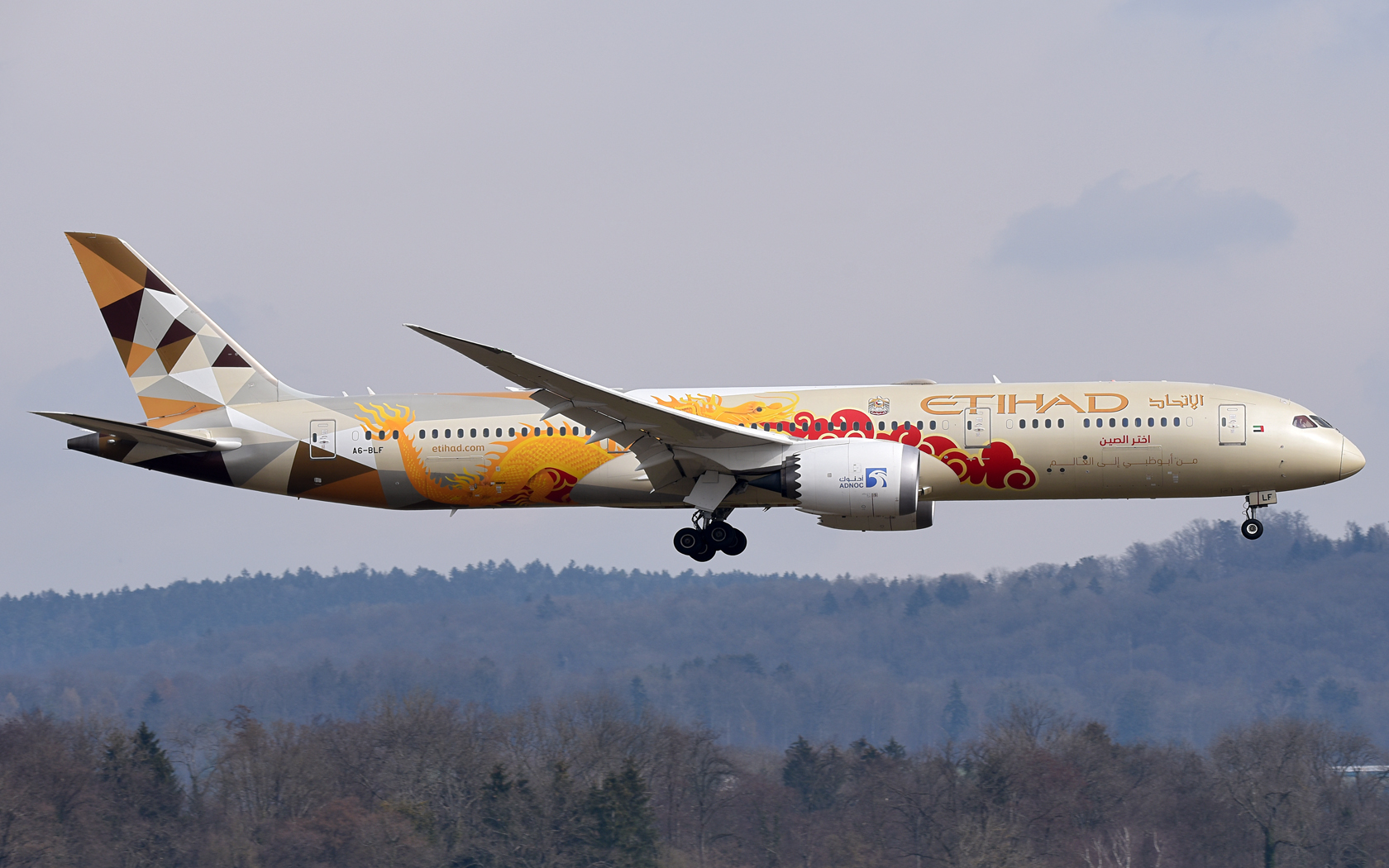 Etihad Airways Boeing 787-9 Dreamliner A6-BLF 