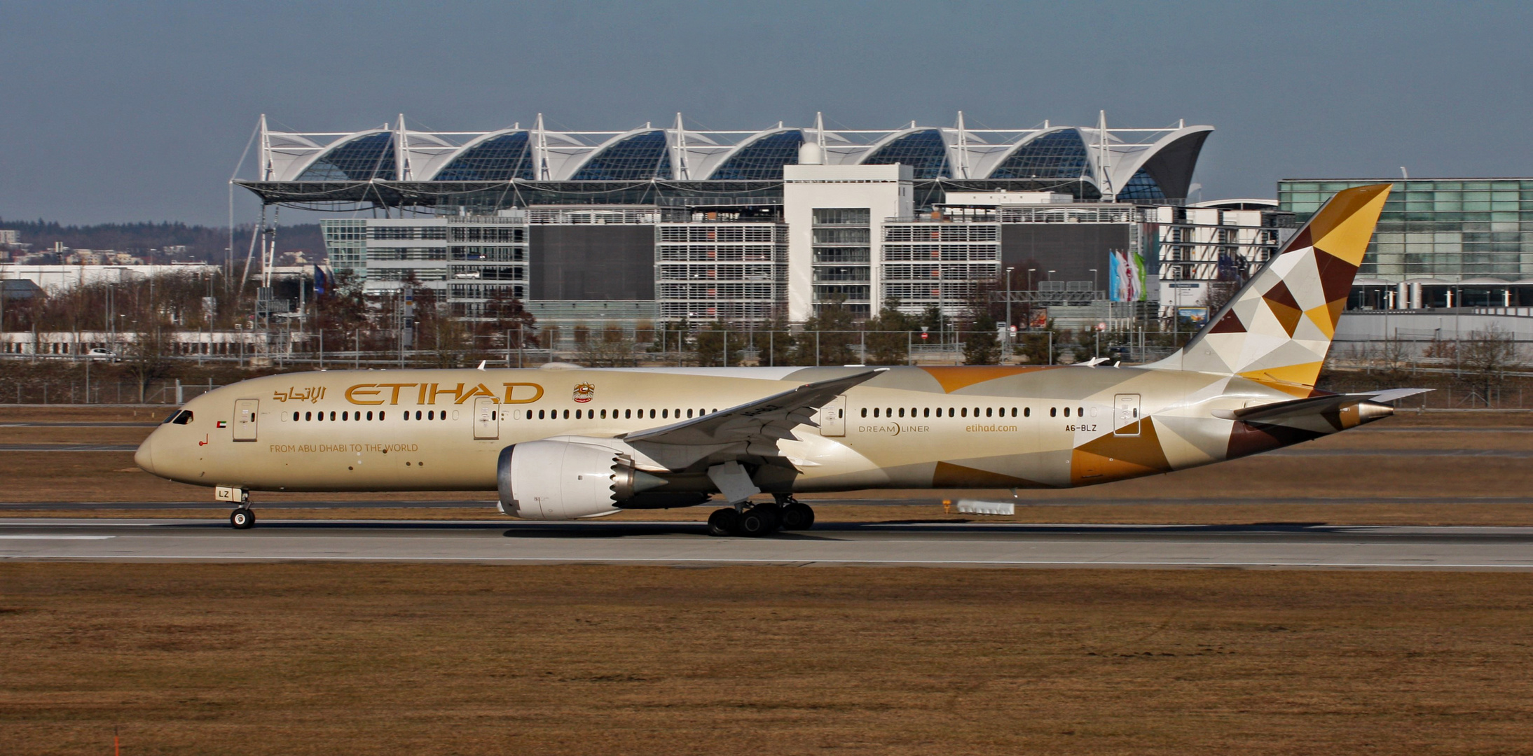 Etihad Dreamliner