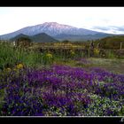 ..Etna..