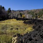 etna... ciò che resta del suo risveglio