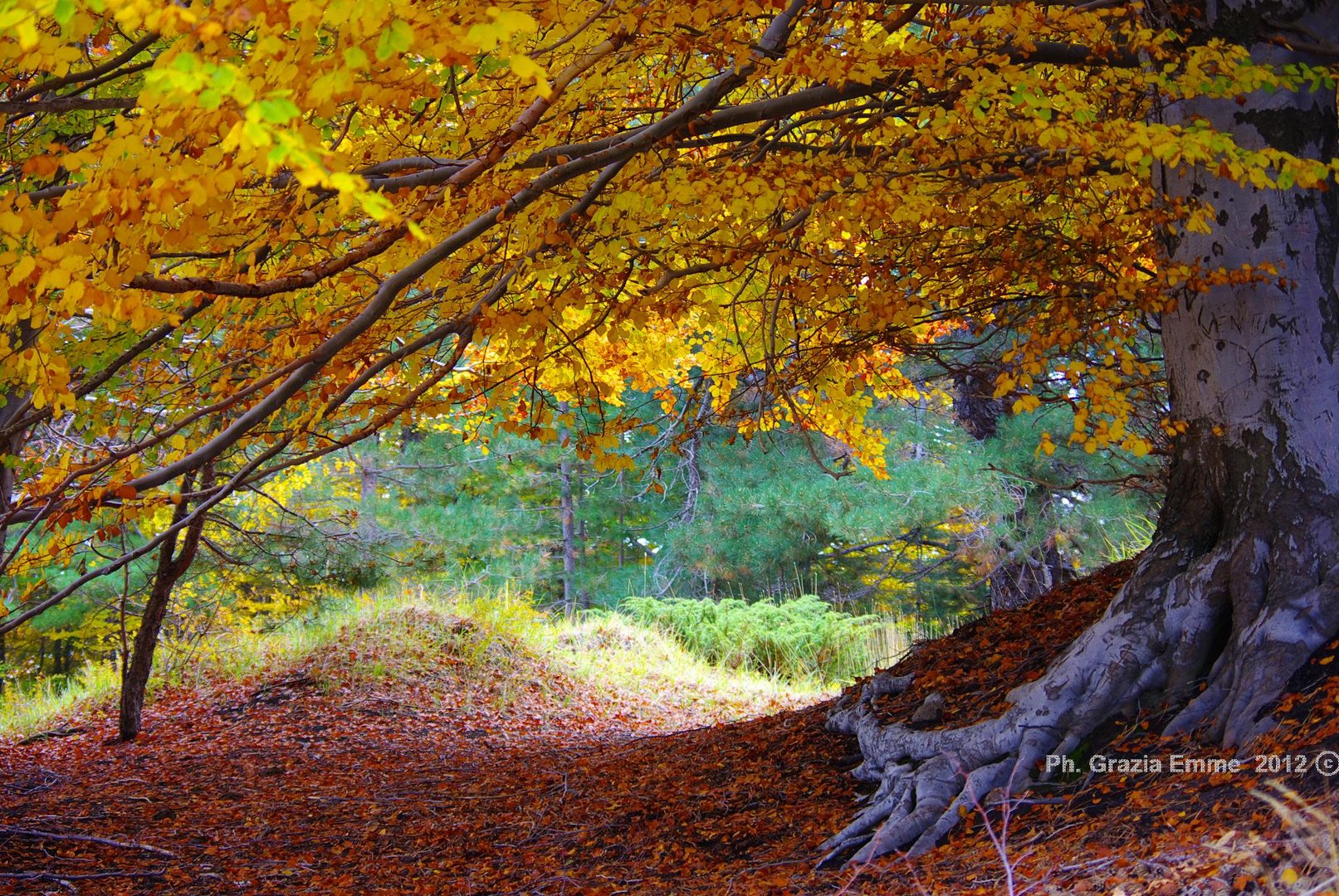 Etna d'Autunno