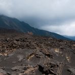 ETNA - germogli di vita nella Valle del Bove.