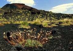 Etna II