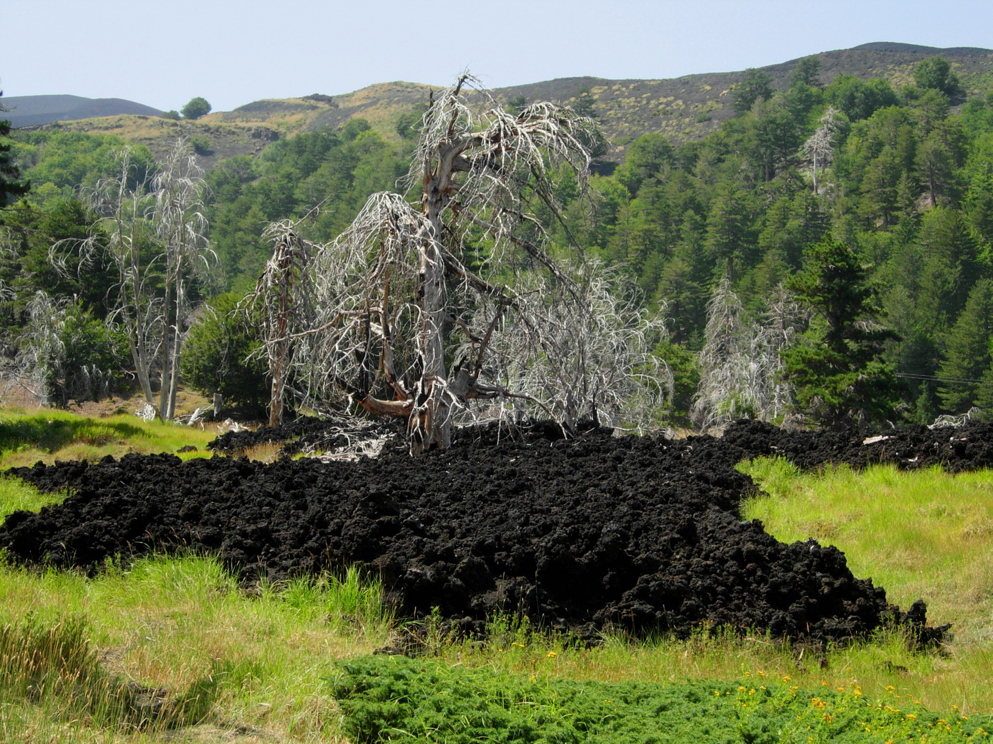 Etna: Vita e morte sul vulcano